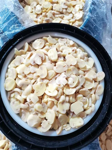 پلاسٹک ڈرم میں ایس او 2 میں تازہ ہول مشروم