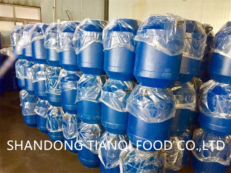Drum packing white button mushroom in salted water Drum packing white button mushroom in salted water
