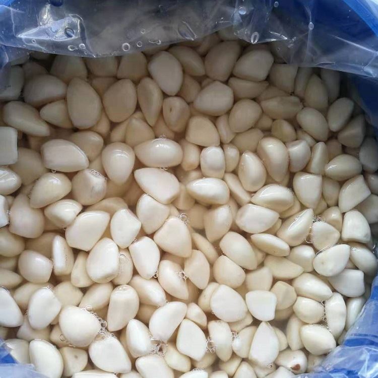 preserved garlic in salted water in plastic drums preserved garlic in salted water in plastic drums
