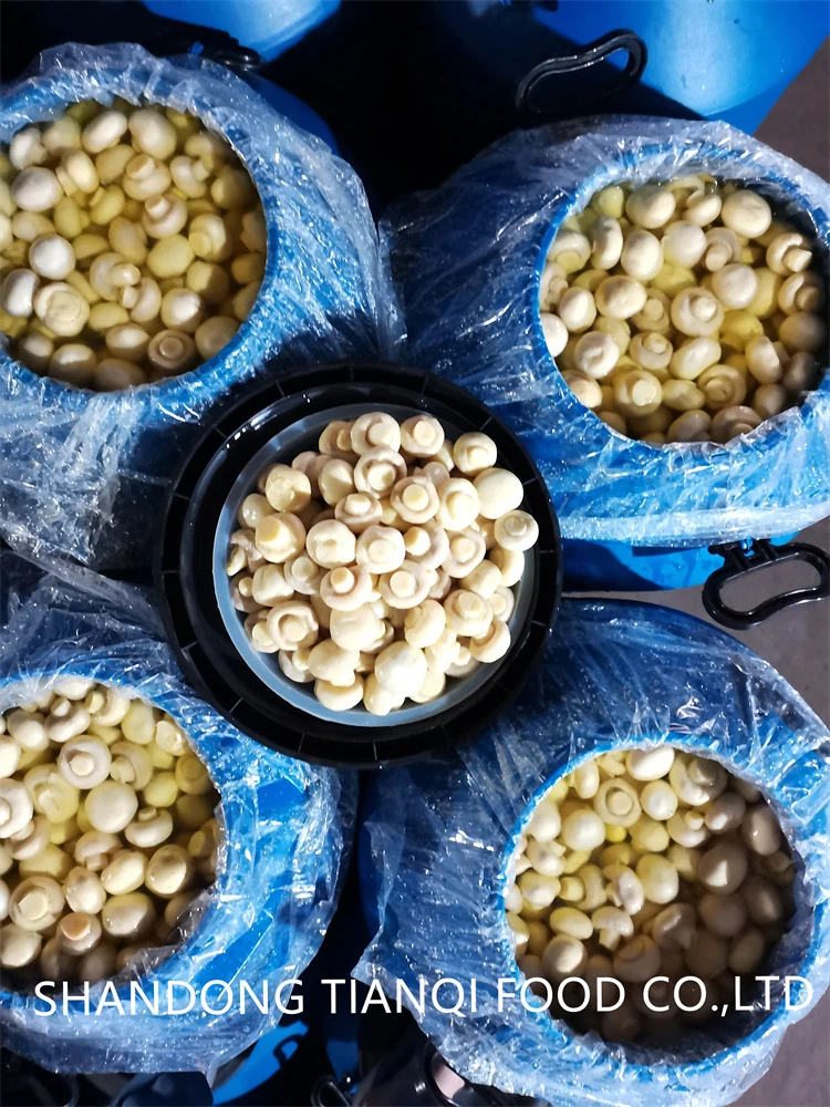Whole white mushroom in brine in drums