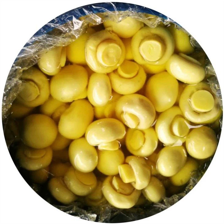 پلاسٹک کے ڈرموں میں کیمیکل میں پی اینڈ ایس مشروم