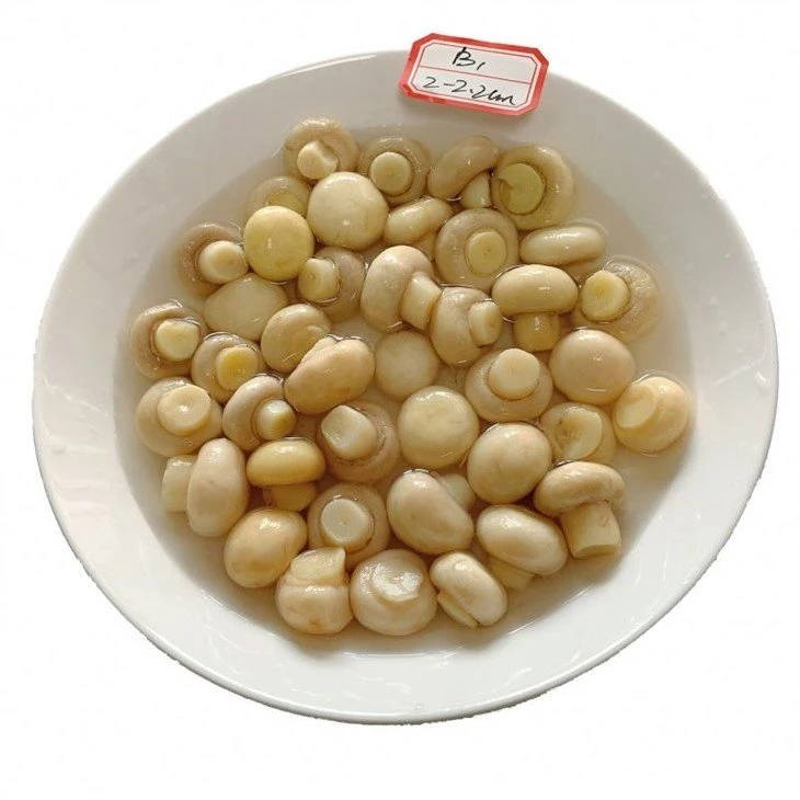 Whole champignon mushroom 2.5-3.0cm in salted water in drums