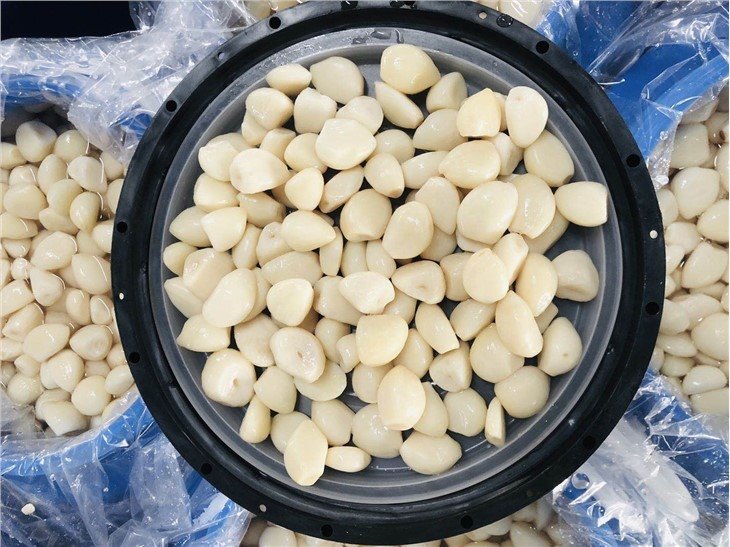 Cheap price white garlic cloves in salted water