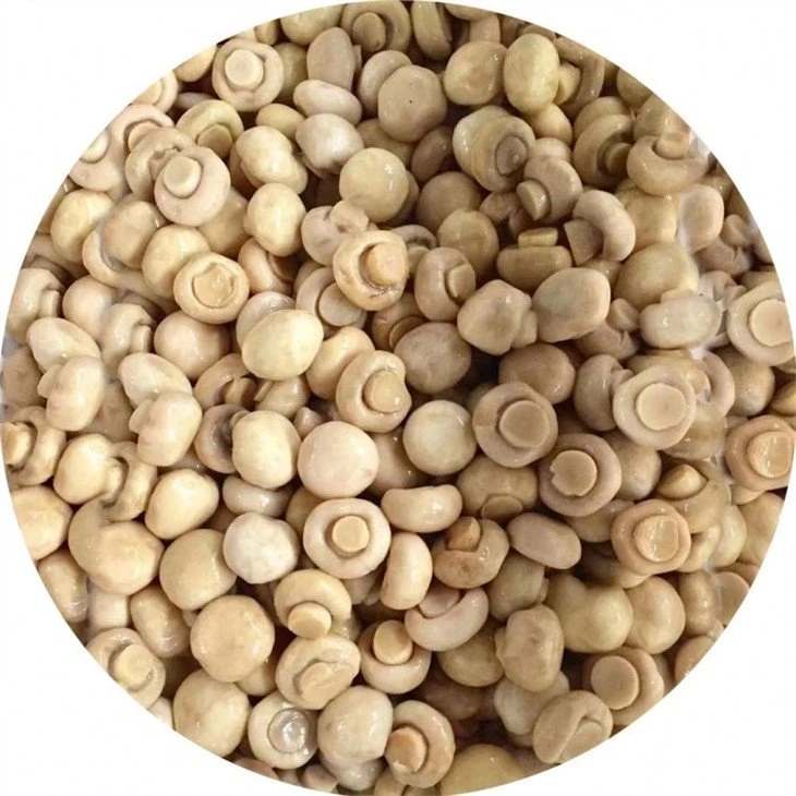 Pickled whole white mushroom in salted water in drums