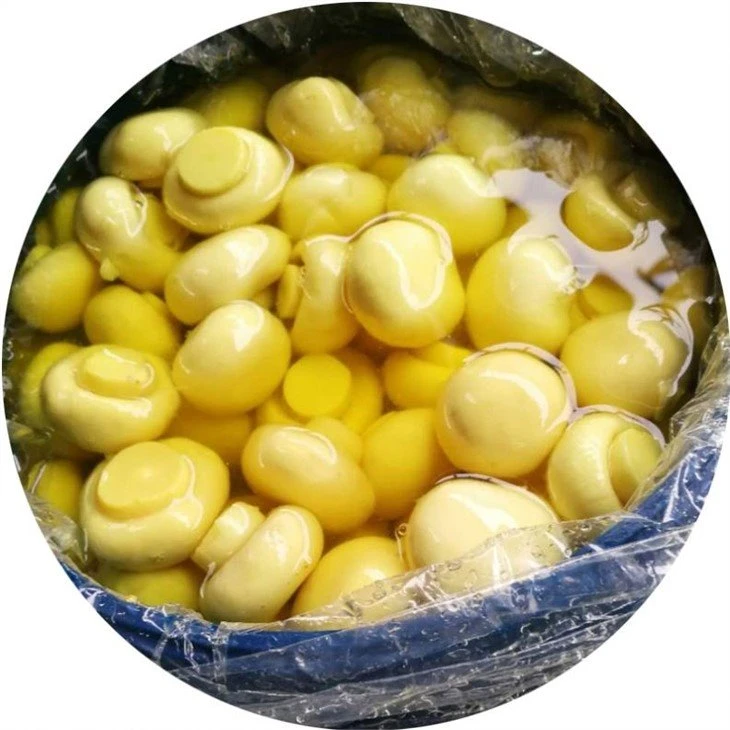 4-6cm whole white mushroom in salty water in drums