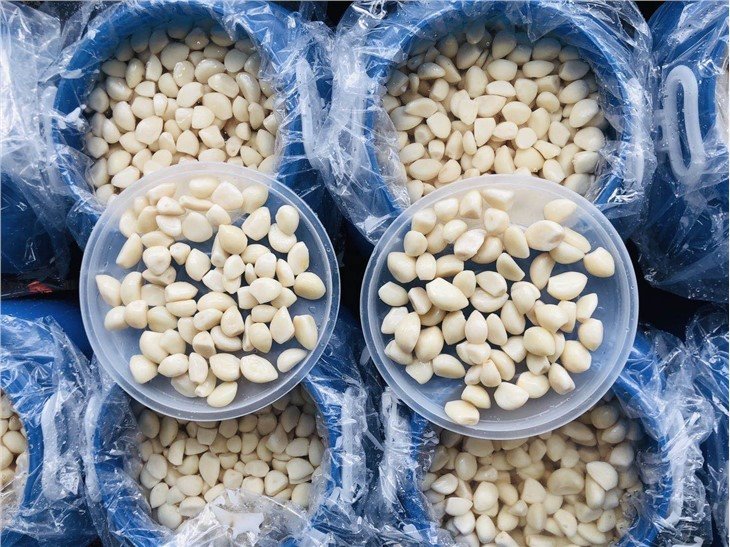 High quality salty garlic cloves in drums