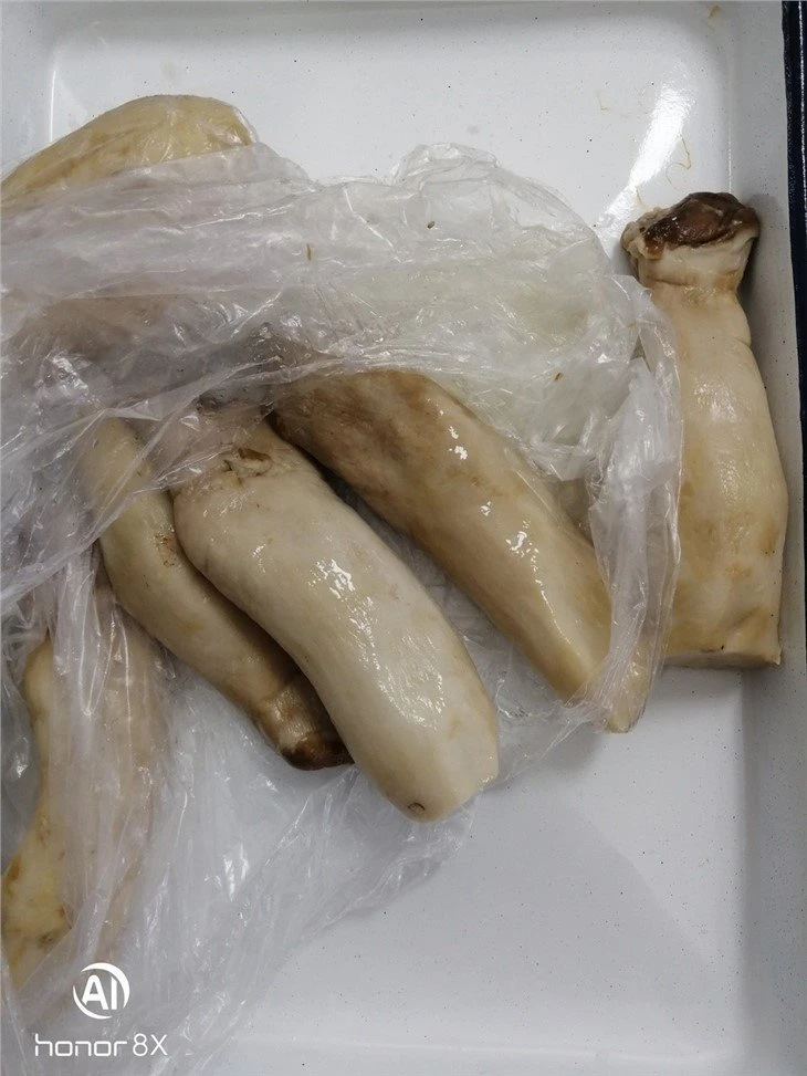 PNS king oyster mushroom in brine in drums