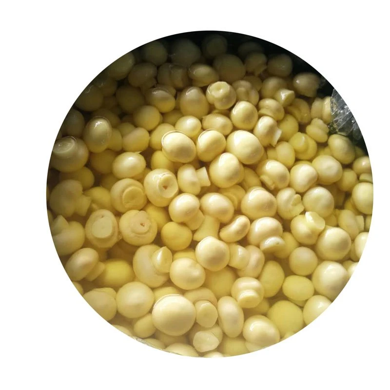 ڈرم میں SO₂ Champignon مشروم