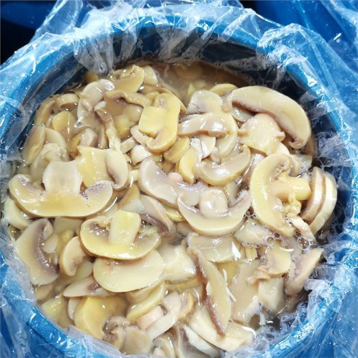 Champignon mushroom in plastic drums
