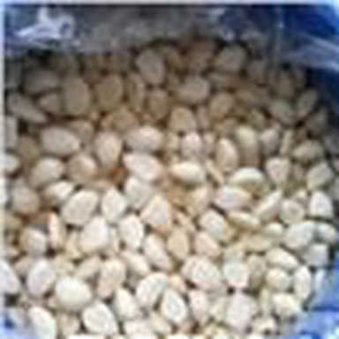 تازہ سفید لہسن ڈھولوں میں نمکین نمکین پانی میں چھلکا ہوا ہے