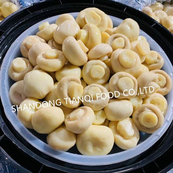 Button mushroom in brine in drums
