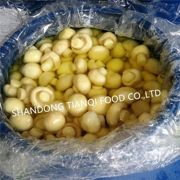 Factory whole champignon mushroom in SO2 in drums