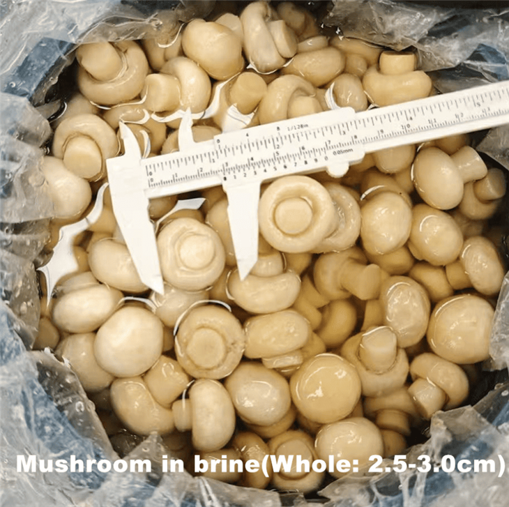 برائن میں شیمپینن مشروم